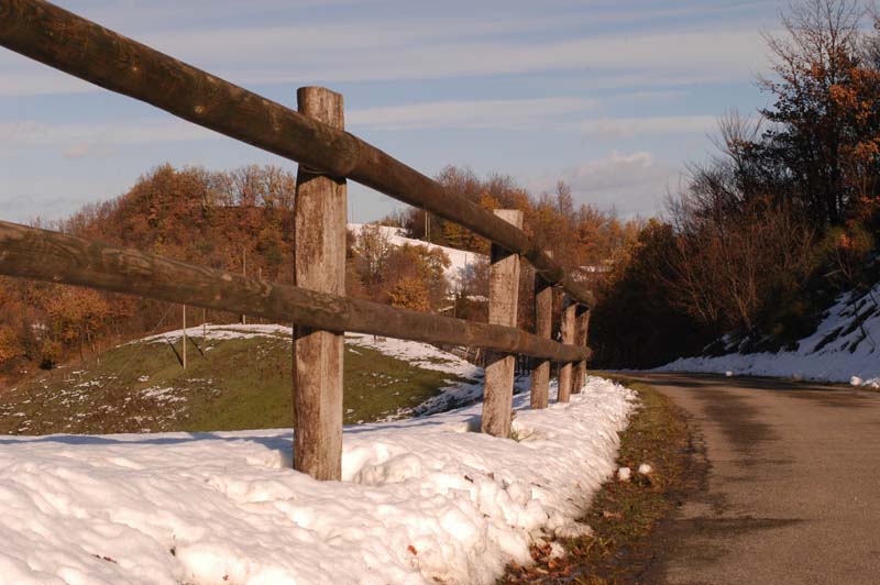 campo del pillo 2005 000011