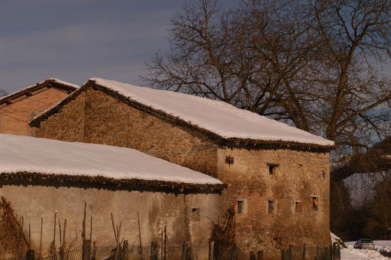 campo del pillo 2005 000015