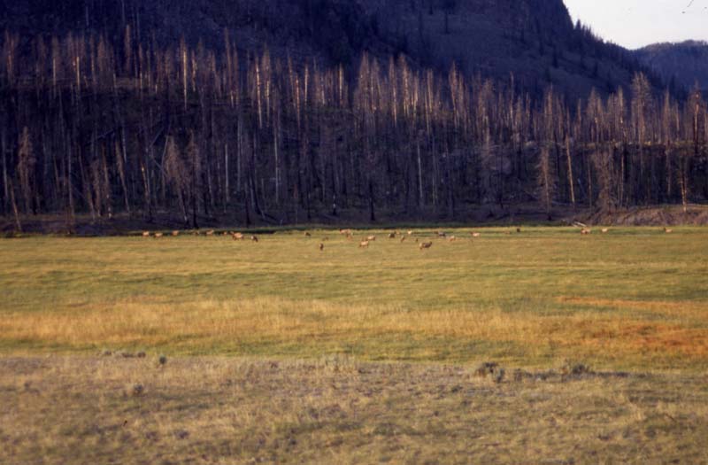 canada 1996 - img398