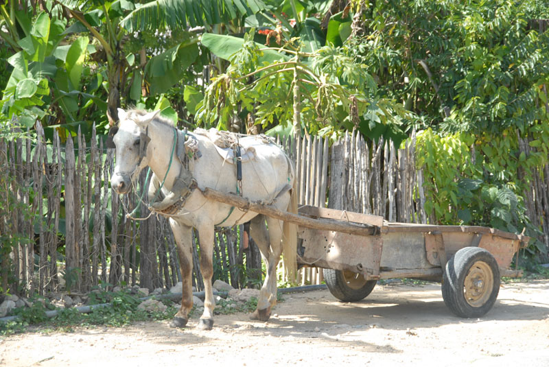 cuba 2006-2007 dsc_1314