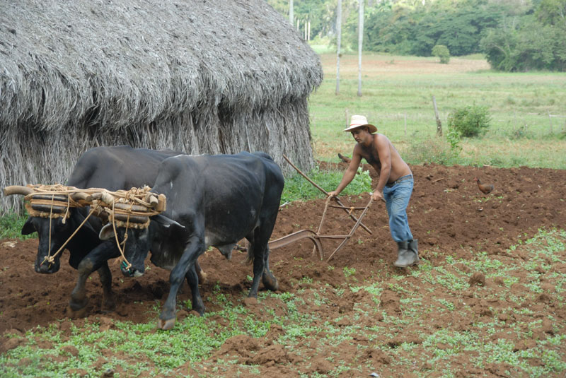 cuba 2006-2007 dsc_3844