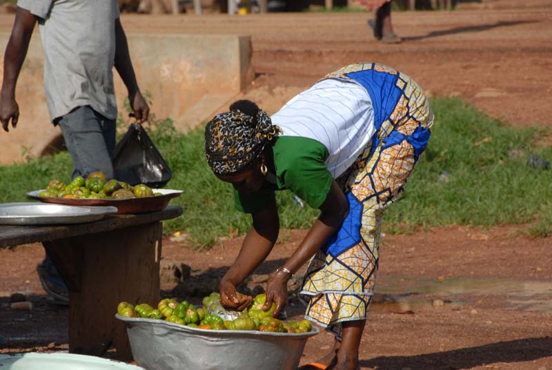 progetto ouatara - burkina faso - agosto 2008 foto n00091