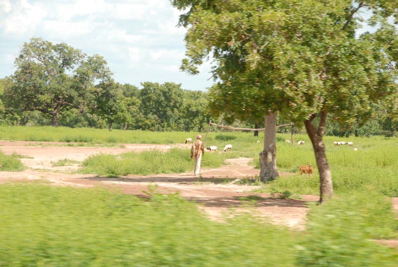 progetto ouatara - burkina faso - agosto 2008 foto n00125