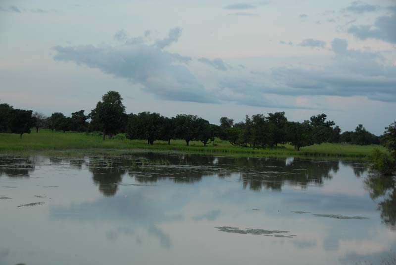 progetto ouatara - burkina faso - agosto 2008 foto n00185