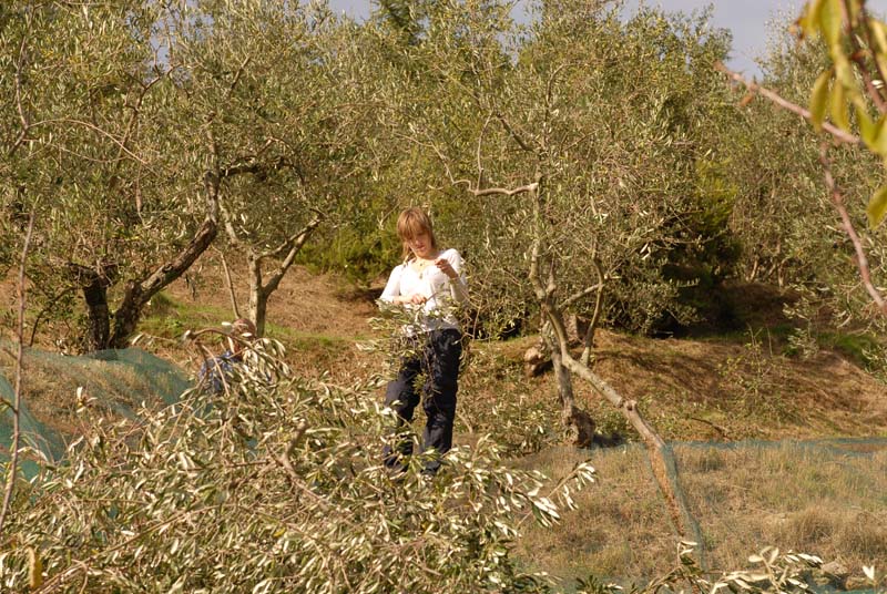 Velisti di mare e di terra 0161