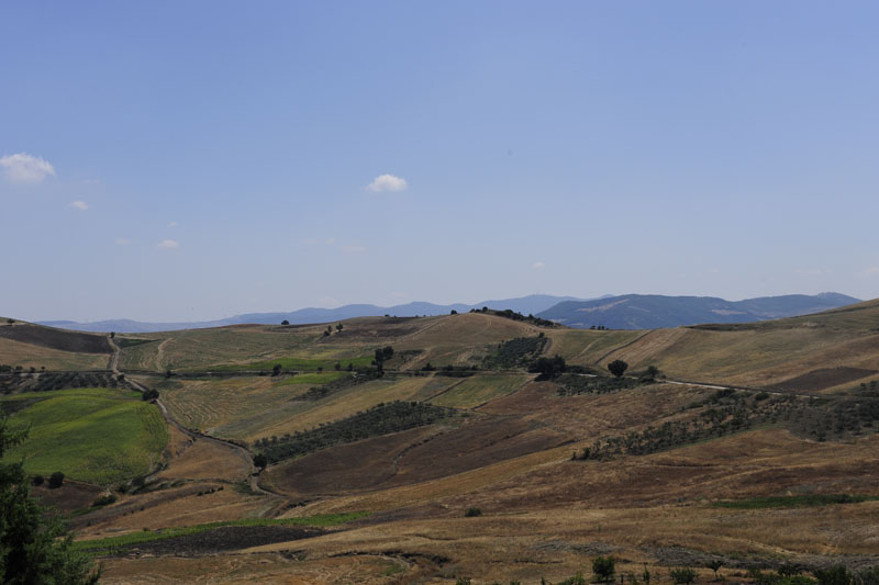 colletorto - ferragosto 2009 _DSC9733