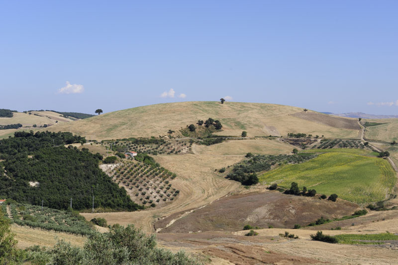 colletorto - ferragosto 2009 _DSC9737