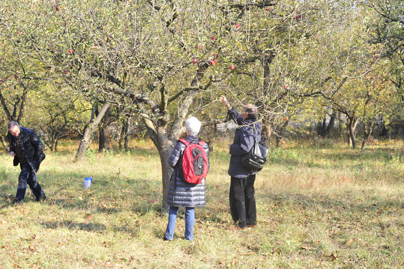 viaggio in romani - rotary cusago - foto 267