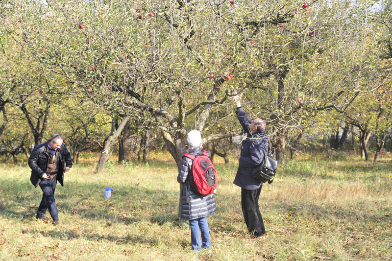 viaggio in romani - rotary cusago - foto 268