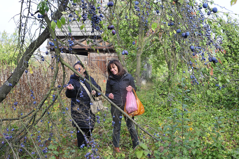 viaggio in romani - rotary cusago - foto 291