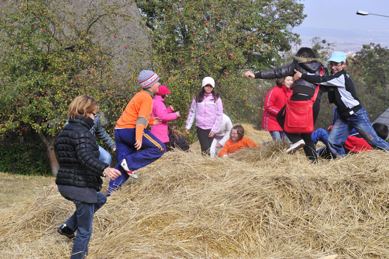 viaggio in romani - rotary cusago - foto 295