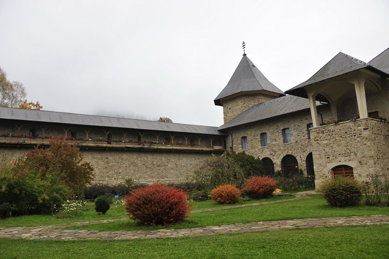 bucovina - rotary Cusago Visconteo 2010 - foto 0133