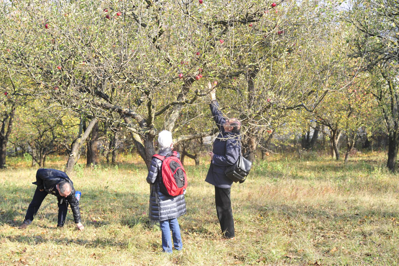 viaggio in romani - rotary cusago - foto 269