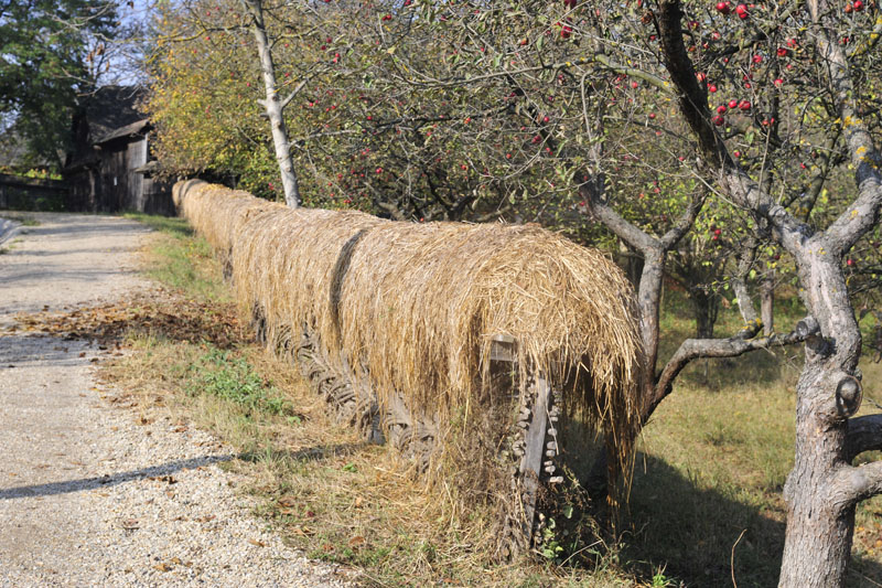 viaggio in romani - rotary cusago - foto 281