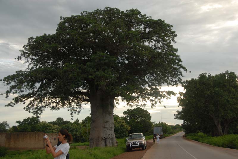 burkina faso - 2007- 0256