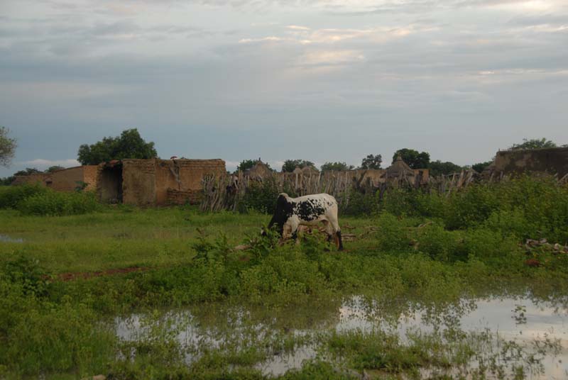 burkina faso - 2007- 0321