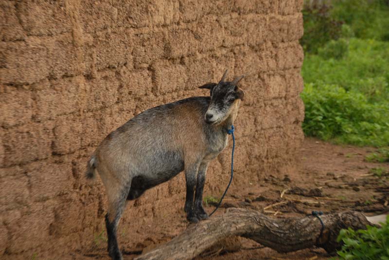 burkina faso - 2007- 0324