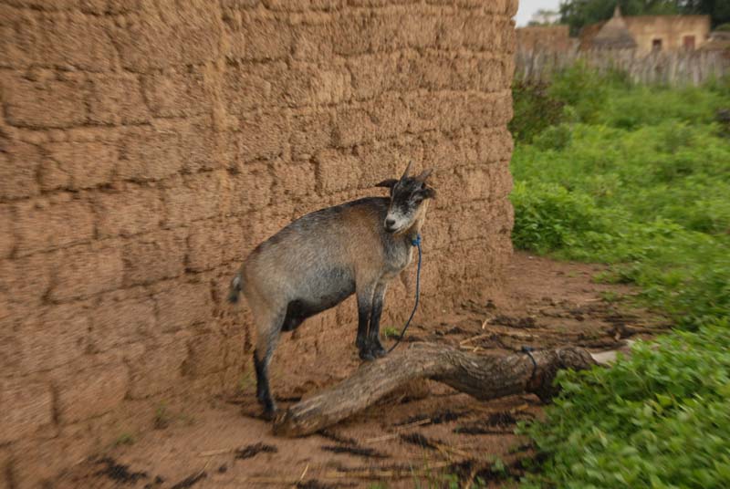 burkina faso - 2007- 0325