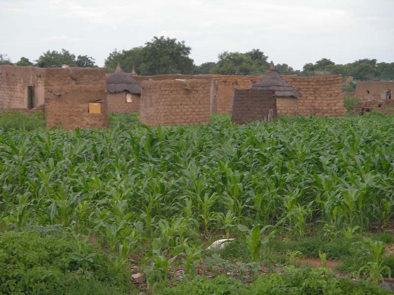 burkina faso - 2007- 0341