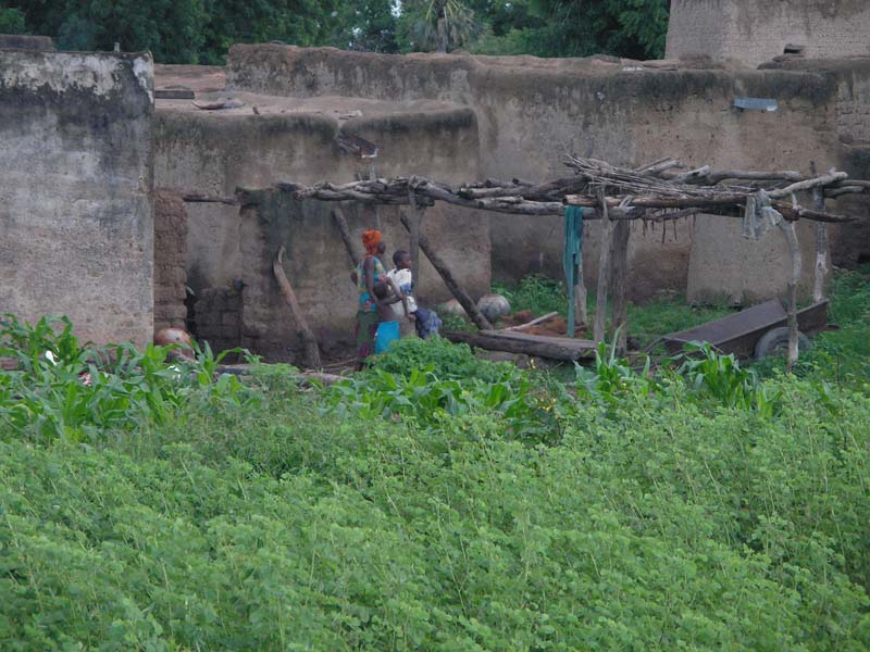 burkina faso - 2007- 0342