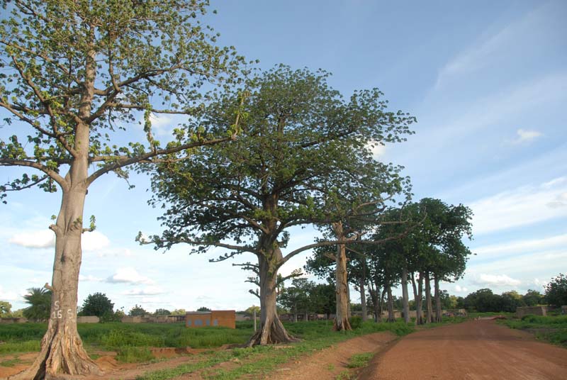 burkina faso - 2007- 0397