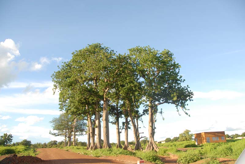 burkina faso - 2007- 0404