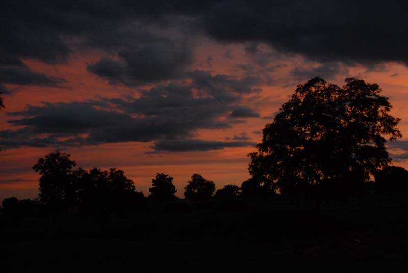 cieli del burkina faso - 2007 - foto 0059