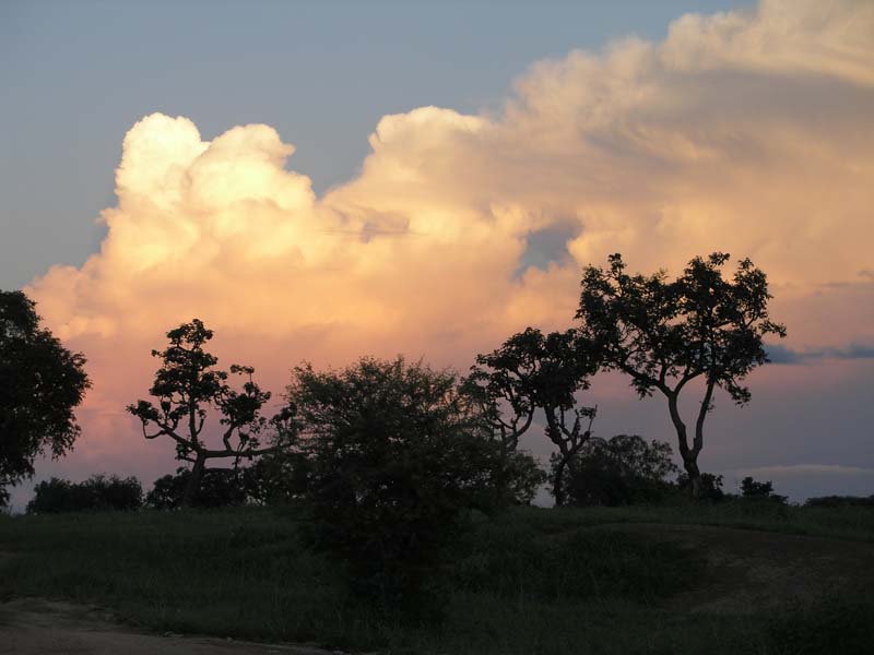 cieli del burkina faso - 2007 - foto 0085