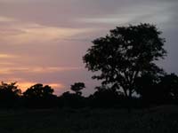 cieli del burkina faso - 2007 - foto 0083