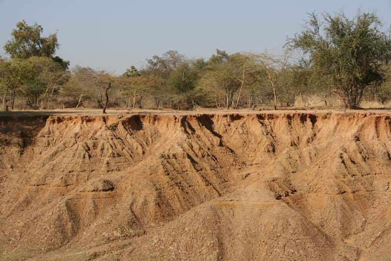 Burkina Faso - Natale 2007- gennaio 2008 - progetto ouatara - foto0122