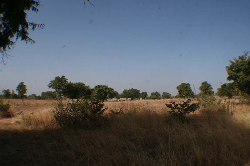 Burkina Faso - Natale 2007- gennaio 2008 - progetto ouatara - foto0215