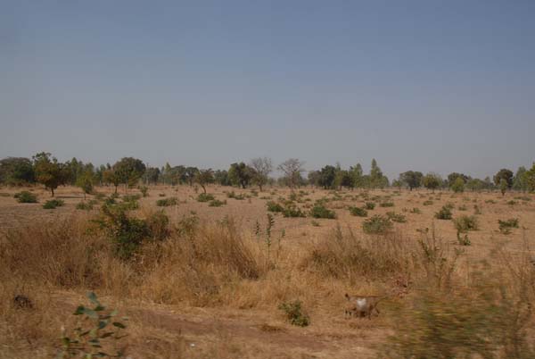 Burkina Faso - Natale 2007- gennaio 2008 - progetto ouatara - foto0447