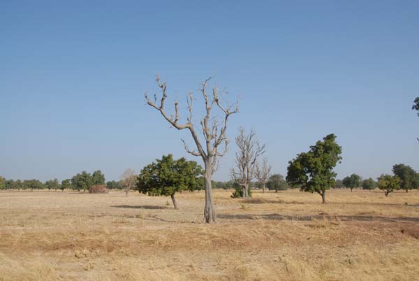 Burkina Faso - Natale 2007- gennaio 2008 - progetto ouatara - foto0525