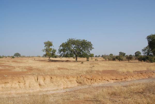 Burkina Faso - Natale 2007- gennaio 2008 - progetto ouatara - foto0531