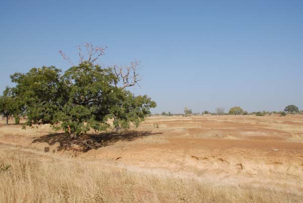 Burkina Faso - Natale 2007- gennaio 2008 - progetto ouatara - foto0532