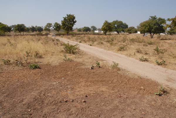 Burkina Faso - Natale 2007- gennaio 2008 - progetto ouatara - foto0545