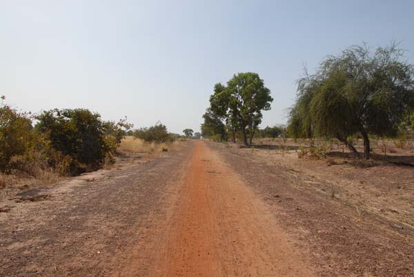 Burkina Faso - Natale 2007- gennaio 2008 - progetto ouatara - foto0552