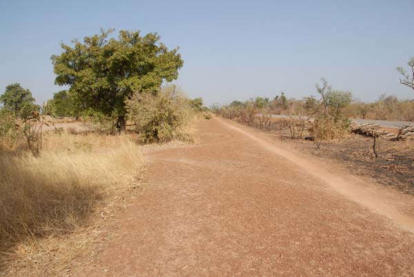 Burkina Faso - Natale 2007- gennaio 2008 - progetto ouatara - foto0555