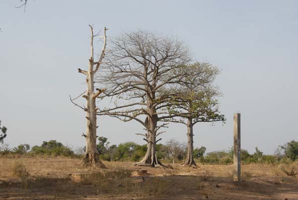 Burkina Faso - Natale 2007- gennaio 2008 - progetto ouatara - foto0613