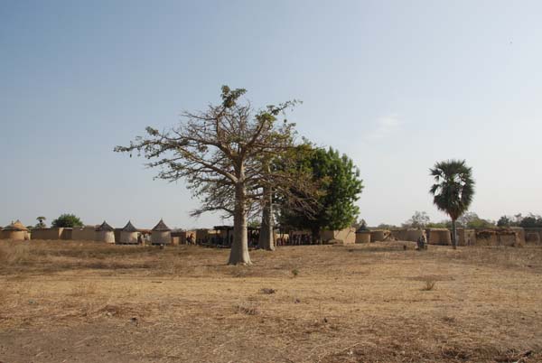 Burkina Faso - Natale 2007- gennaio 2008 - progetto ouatara - foto0614