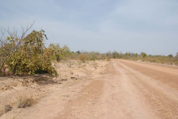 Burkina Faso - Natale 2007- gennaio 2008 - progetto ouatara - foto0718