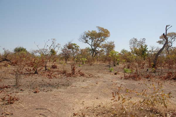 Burkina Faso - Natale 2007- gennaio 2008 - progetto ouatara - foto0748