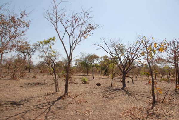 Burkina Faso - Natale 2007- gennaio 2008 - progetto ouatara - foto0751