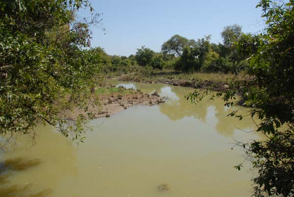 Burkina Faso - Natale 2007- gennaio 2008 - progetto ouatara - foto0752