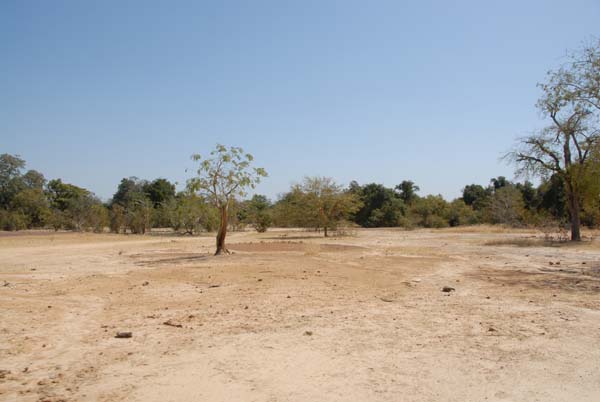 Burkina Faso - Natale 2007- gennaio 2008 - progetto ouatara - foto0753