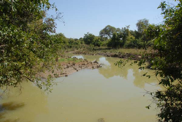 Burkina Faso - Natale 2007- gennaio 2008 - progetto ouatara - foto0755