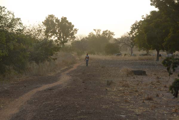 Burkina Faso - Natale 2007- gennaio 2008 - progetto ouatara - foto0942