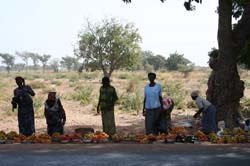 Burkina Faso - Natale 2007- gennaio 2008 - progetto ouatara - foto0001