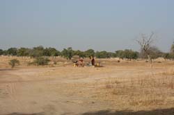 Burkina Faso - Natale 2007- gennaio 2008 - progetto ouatara - foto0015