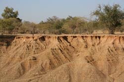 Burkina Faso - Natale 2007- gennaio 2008 - progetto ouatara - foto0122